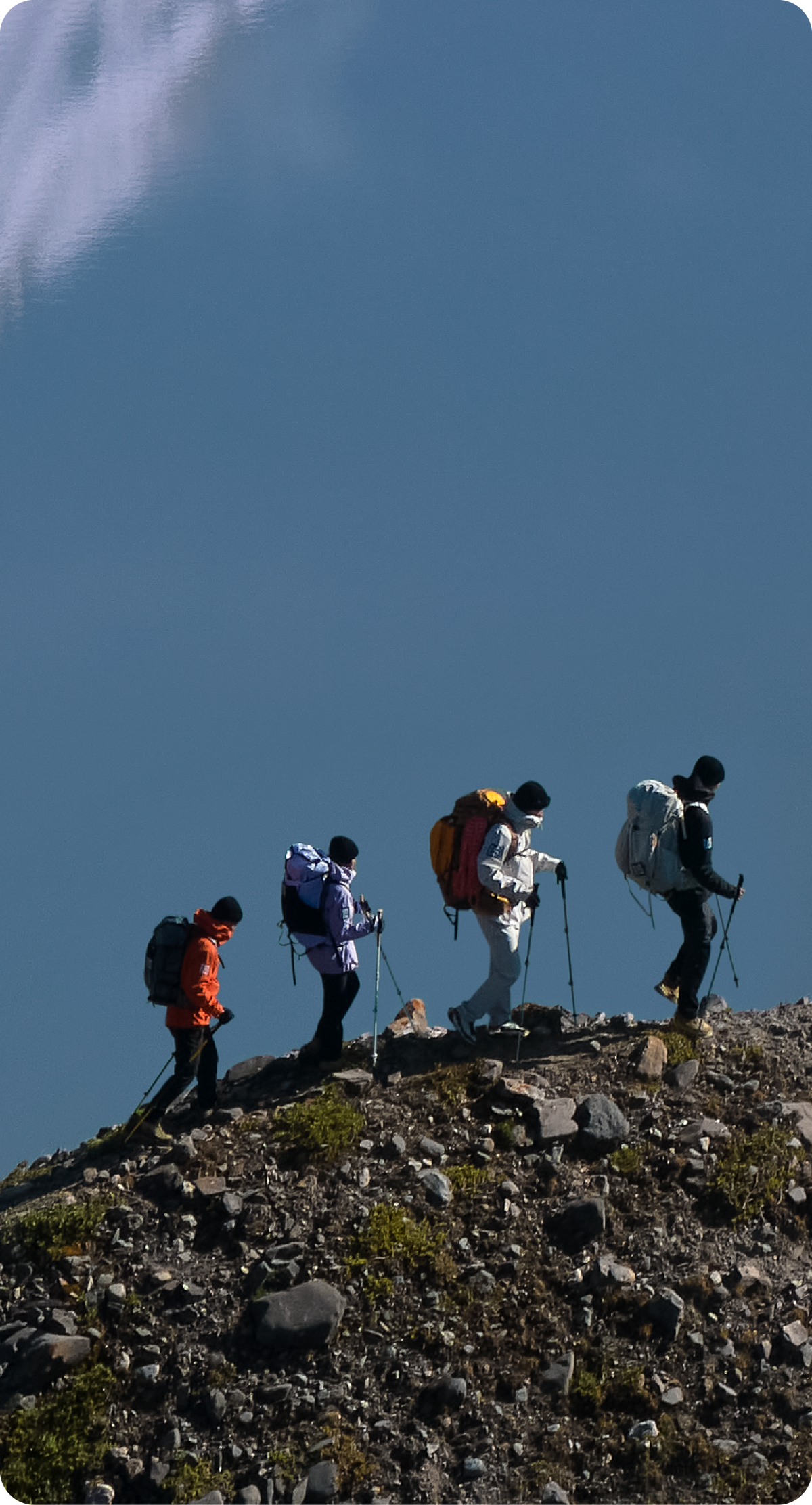 Trekking Poles