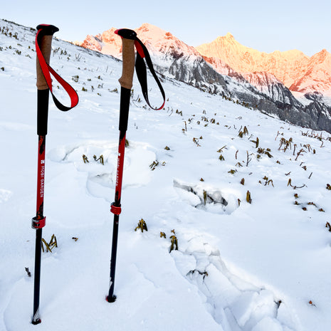 Trekking Poles